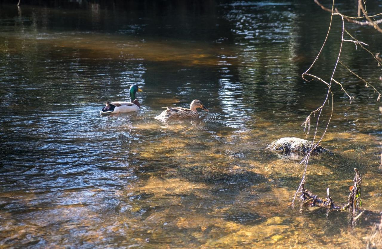 The Lodge At Woodenbridge アークロー エクステリア 写真